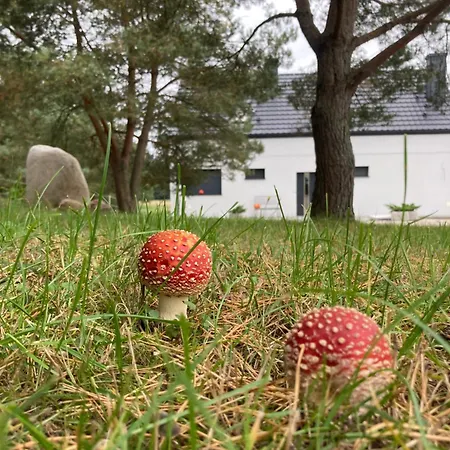 Strefa Dom Z Jacuzzi Na Wylacznosc